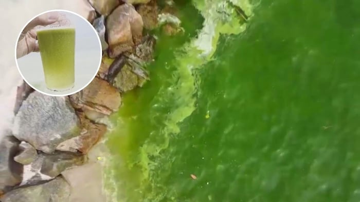 Touristen erlebten am Bang Saen-Strand Mitte April eine herbe Enttäuschung.