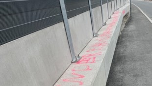 Der oder die unbekannten Täter versprühten Hassparolen und verursachten damit auch Sachschaden.  (Bild: Privat)