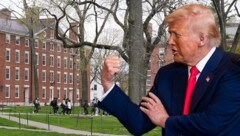 Im Streit um den Kurswechsel an Hochschulen enthält die US-Regierung der privaten Elite-Universität Harvard Fördergeld in Milliardenhöhe vor. (Bild: Krone KREATIV/AP, EPA Jim Lo Scalzo)
