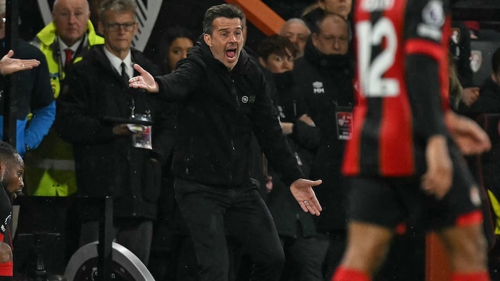 Marco Silva könnte es von Fulham zu Benfica ziehen.
