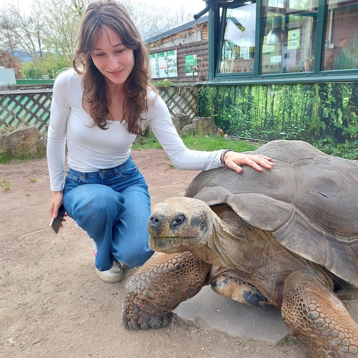 „Krone“ Redakteurin besucht die Riesenschildkröte Bibi im Reptilienzoo Happ.