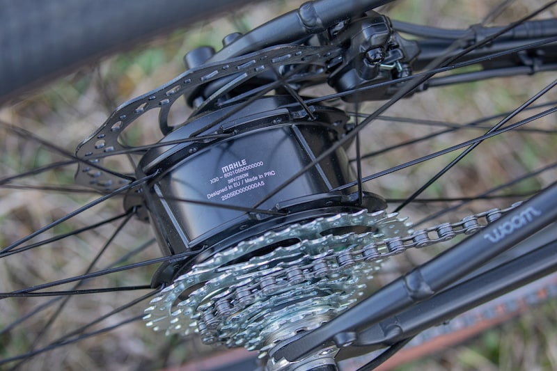 Der Mahle X30 Nabenmotor ist im Hinterrad verbaut und liefert 45 Nm Drehmoment. . (Bild: Wallner Hannes)