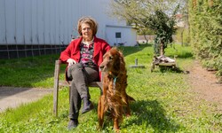 Jetzt im Frühjahr kehrt die Sonne dank ihres höheren Standes in den Garten von Maria T. in ...