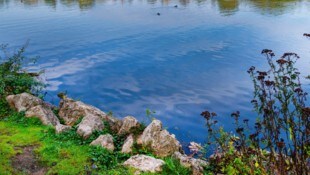Das Unglück ereignete sich am Wöhrder See in Nürnberg (Symbolbild).
