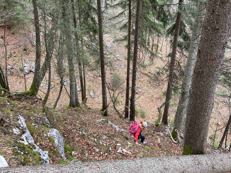 „Vito“ war in steilem, unwegsamem Gebiet verschwunden (Bild: Bergrettung Ebensee)