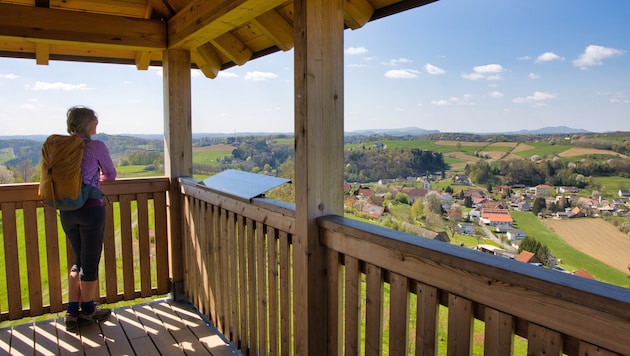Eine Wohltat für Seele und Augen: der idyllische Fernblick über die sanften Hügel. (Bild: Weges)