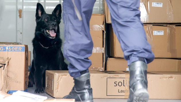 Ein Polizeihund half bei der Durchsuchung des Wagens (Bild: Tröster Andreas)