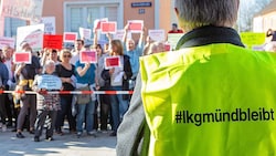 Friedlich, aber doch deutlich taten die meisten Demonstranten ihrem Ärger kund. (Bild: Krone KREATIV/Klaus Schindler, APA/Helmut Fohringer)