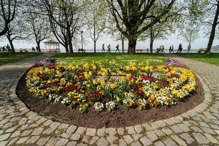 In den Seeanlagen blühen die Blumenbeete um die Wette – ein Arrangement ist schöner als das ...