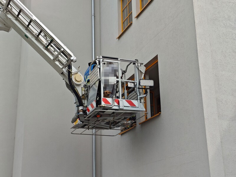 Hausbewohner in oberen Stockerwerken wurden mittels Hubsteiger geborgen. (Bild: FF Wiener Neudorf)