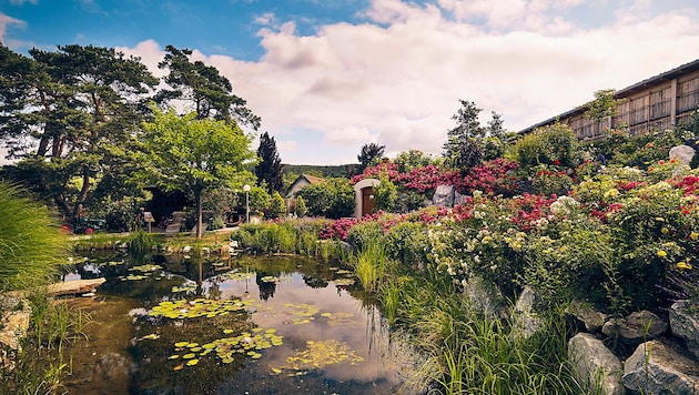Prächtige Gartenkunst gibt es etwa in den Kittenberger Erlebnisgärten zu bewundern. (Bild: Andreas Hofer Photography)