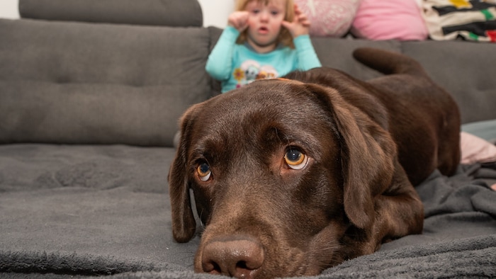 Immer an Kathis Seite – „Archie“ wirkt auch beruhigend auf das Kind, wenn sich Anfälle abzeichnen. 
