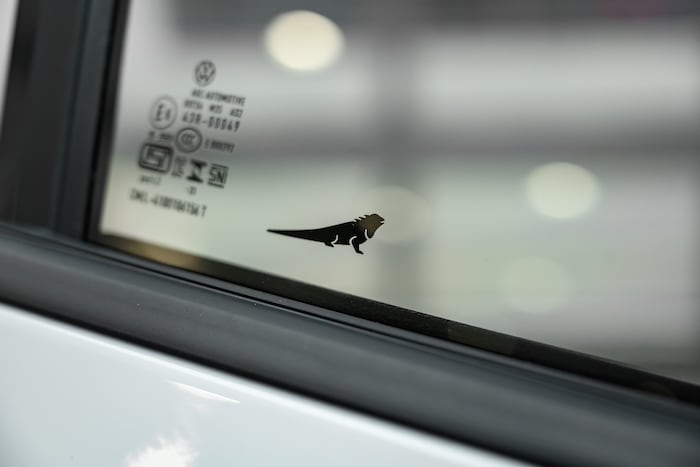 Der Leguan am Tiguan