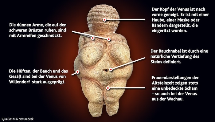 Die Venus von Willendorf im Detail