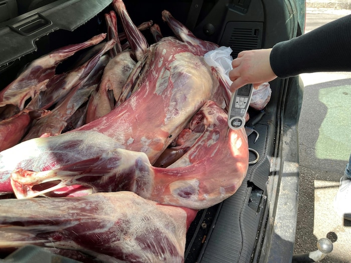 Die festgestellte Temperatur des Fleisches: 28 Grad