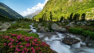 Das Dorfertal in Kals ist mittlerweile nicht nur ein beliebter Ort für Wanderer, sondern hat eine große historische Bedeutung für den NPHT und die Gemeinde. (Bild: Michael Kastl)