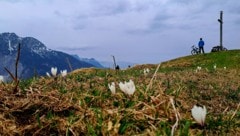 Der tolle Ausblick vom Rellseck. (Bild: Bergauer Rubina)