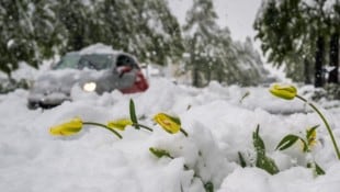 Die Schweiz versinkt derzeit in tiefem Schnee. (Bild: AFP/FABRICE COFFRINI)