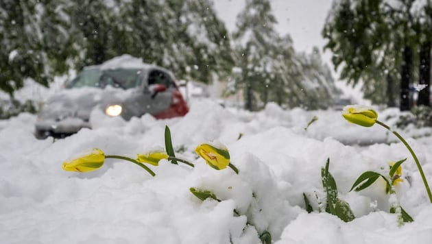 Die Schweiz versinkt derzeit in tiefem Schnee. (Bild: AFP/FABRICE COFFRINI)