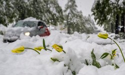 Die Schweiz versinkt derzeit in tiefem Schnee.