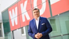 Jürgen Mandl fordert Aufstockung der Lehrstellenförderung. (Bild: Helge Bauer)