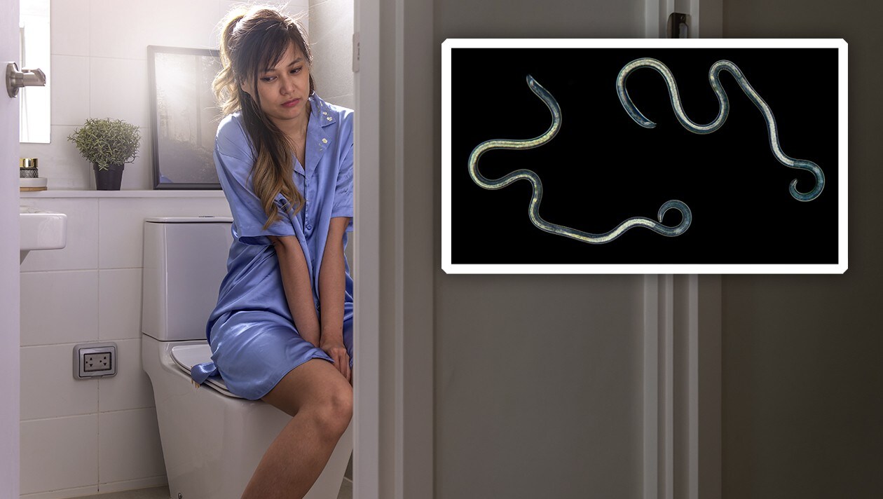 Was Hilft Gegen Parasiten Im Körper www.krone.at