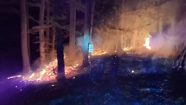 69 Floriani standen bei dem Brand im Einsatz. (Bild: Freiwillige Feuerwehr Henndorf am Wallersee)