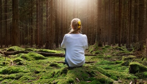 An einem ruhigen Platz sitzen und einfach in den vermeintlich stillen Wald hineinhorchen. (Bild: sailpix/stock.adobe.com)