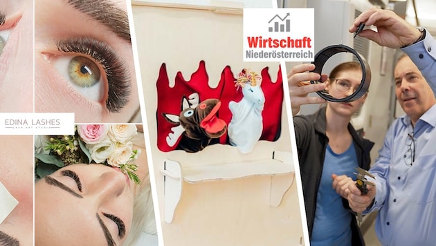 Niederösterreichs Unternehmen liefern kreative Produkte, die weltweit im Einsatz sind.  (Bild: Krone KREATIV/Frames.at/KuWiH/ZVG Privat)