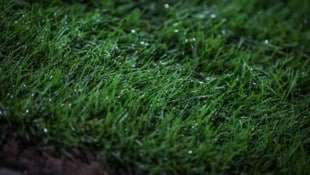 Die Partie Sturm Graz II gegen Vienna muss verschoben werden. (Bild: GEPA)