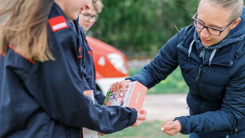 An der bundesweiten Aktion „BeeWild“ nehmen 7800 Niederösterreicher teil. (Bild: diemosbachers)