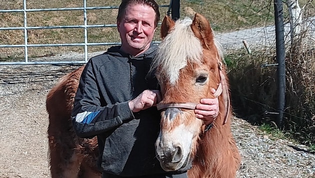 Michael Stracke mit dem Haflinger-Opi (Bild: Purzel &amp; Vicky)