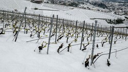 In der Schweiz ist Mitte April wieder der Winter zurückgekehrt. (Bild: AFP/FABRICE COFFRINI)