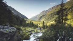 Das Dorfertal in Kals und vor allem die Region im Nationalpark Hohe Tauern lockte in diesem ...