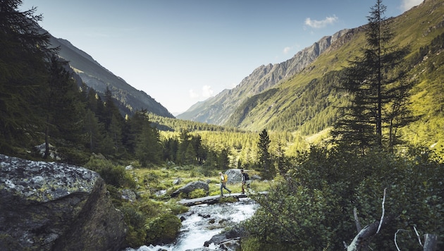 Das Dorfertal in Kals und vor allem die Region im Nationalpark Hohe Tauern lockte in diesem ...