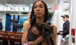 Katze Sophie sorgte am Freitag für viel Aufsehen bei Journalistinnen und Journalisten im Weißen ...
