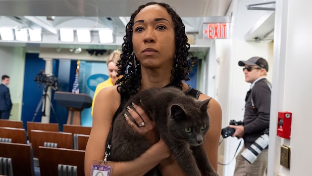 Katze Sophie sorgte am Freitag für viel Aufsehen bei Journalistinnen und Journalisten im Weißen Haus. (Bild: AP/Alex Brandon)