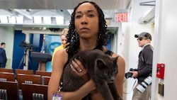 Katze Sophie sorgte am Freitag für viel Aufsehen bei Journalistinnen und Journalisten im Weißen Haus. (Bild: AP/Alex Brandon)
