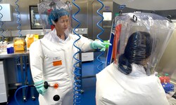 Mehr als fünf Jahre nach dem Ausbruch der Corona-Pandemie ist immer noch unklar, ob das Virus ...