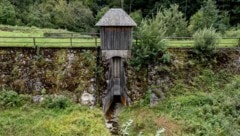 Der Wienerwald (Bild) fand Eingang in die internationale Studie. (Bild: Imre Antal)