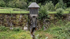 Der Wienerwald (Bild) fand Eingang in die internationale Studie. (Bild: Imre Antal)