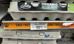 In den USA werden für ein Dutzend Eier teils horrende Preise verlangt.
