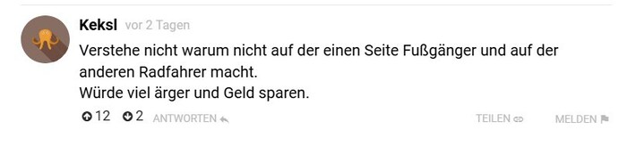 Die Reaktionen und Ideen der „Krone“-Leser in der Diskussion um die Nibelungenbrücke