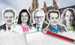 Das IFDD fing im Rahmen einer Umfrage im Auftrag der „Krone“ eine Woche vor der Wien-Wahl noch ...