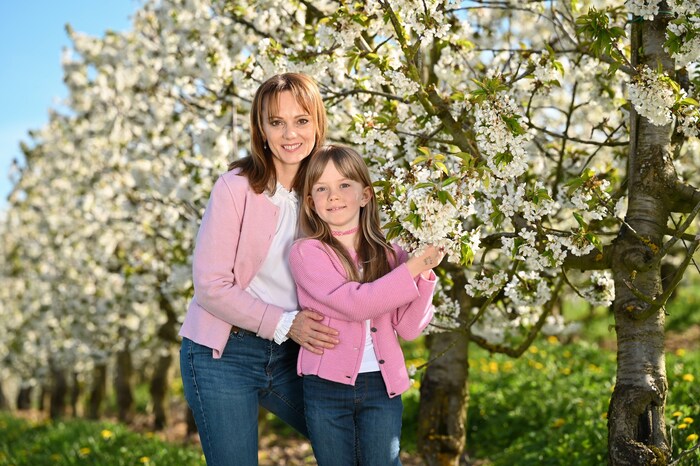 Derzeit stehen die Bäume in prächtiger Blüte