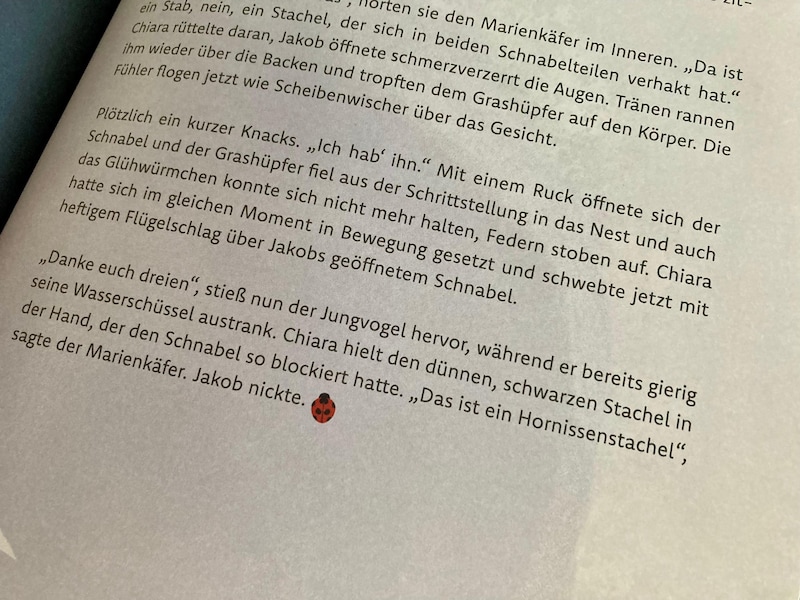 Sogenannte Lese-Stopper zeigen an, wenn ein gutes Vorlese-Ende gekommen ist, damit sich die Kinder nicht wieder hochpowern.  (Bild: Charlotte Titz)