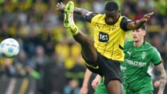 Dortmund-Goalgetter Serhou Guirassy (Bild: AFP/INA FASSBENDER)