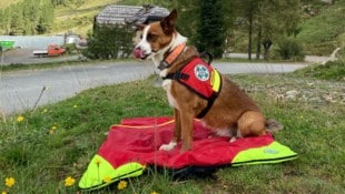 (Bild: Bergrettung Salzburg)