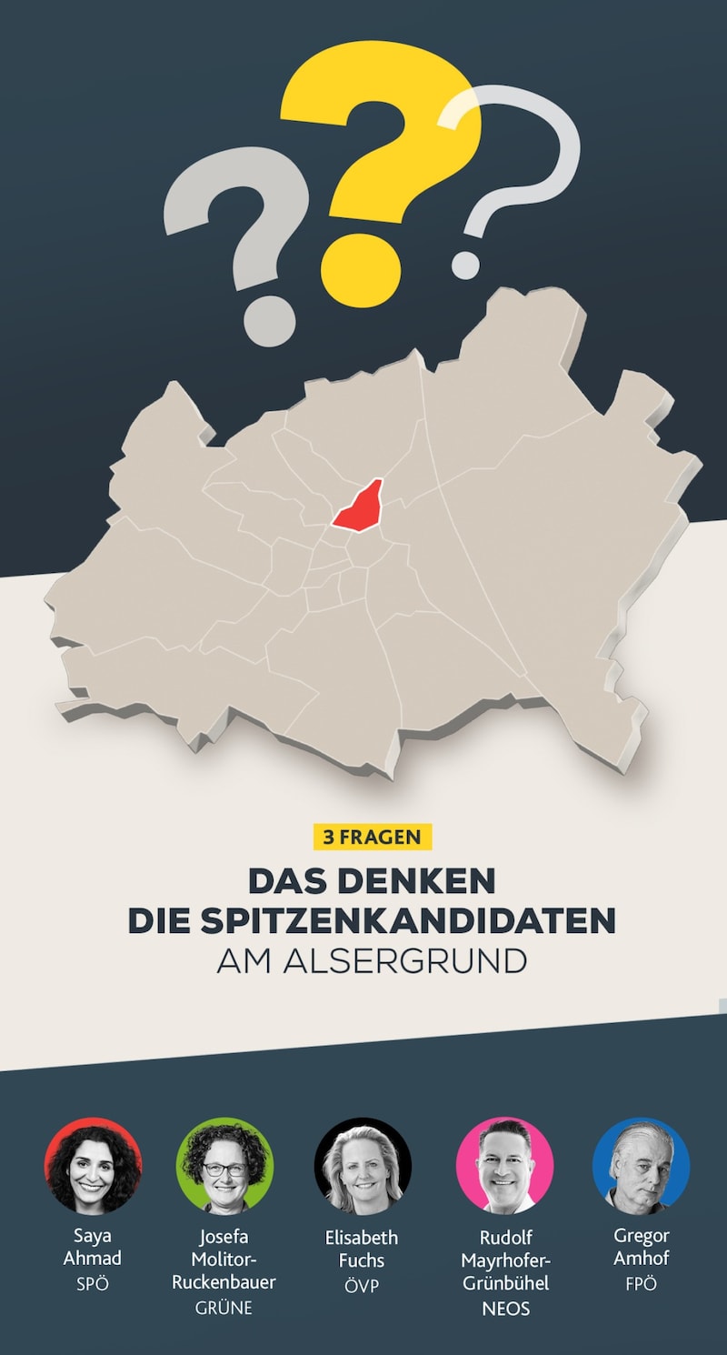 (Bild: Krone KREATIV/SPÖ Wien, ÖVP Wien, Karo Pernegger, nino manuguerra, FPÖ Wien)