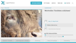 Damit Bilder wie das des Massentiergrabes in Hegyeshalom (Artikel unten verlinkt) nicht wieder vorkommen, hat Helga Krückl eine Online-Petition ins Leben gerufen. 19.000 Unterschriften werden benötigt. Sie möchte, dass nicht alle Tiere „vorsorglich“ gekeult werden müssen.  (Bild: Screenshot/ openpetition.eu)